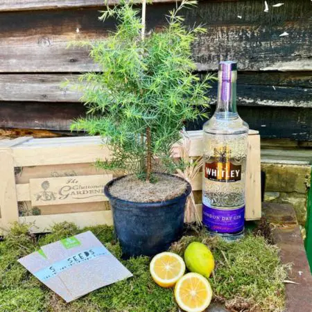 gin-themed gifts A gardening gift set for gin spices