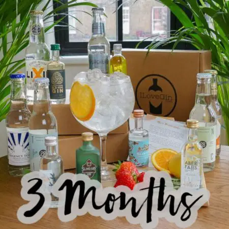 gin-themed gifts A gin gift basket