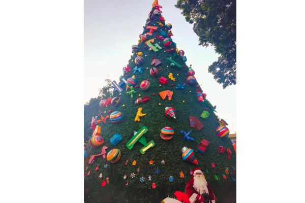 A photo of a giant Christmas tree with Santa in front