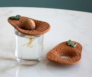A DIY avocado pit growing kit