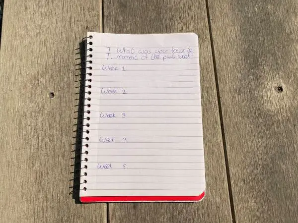A notebook with a page and a question and five weeks to answer it